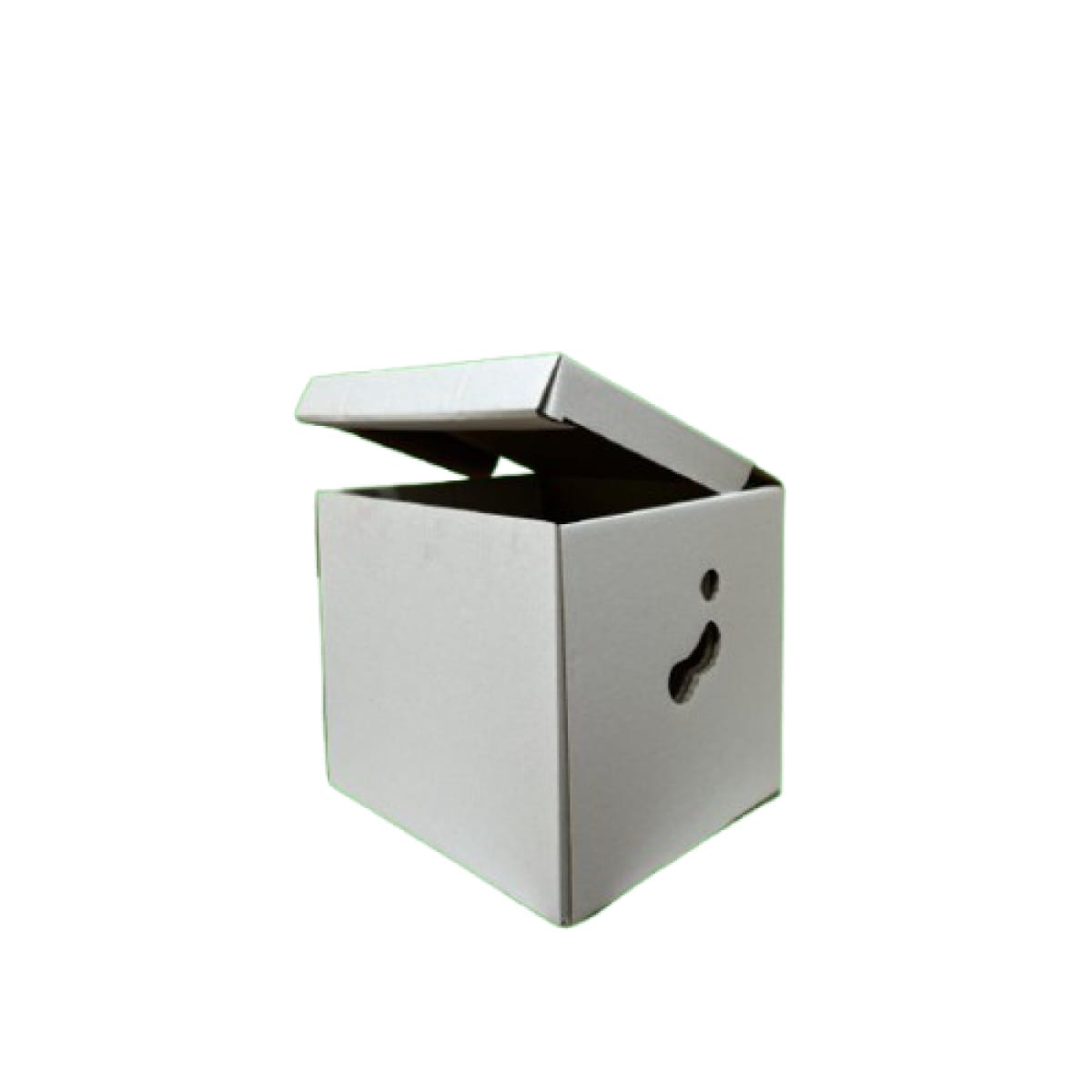 Cutii arhivare CO3 alb 320x300x320 50 buc/set - imagine 1