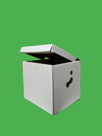 Cutii arhivare CO3 alb 320x300x320 50 buc/set