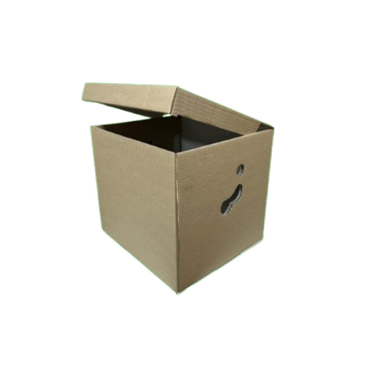 Cutii arhivare CO3/B natur 320X300X320 mm 50 buc/set - imagine 1