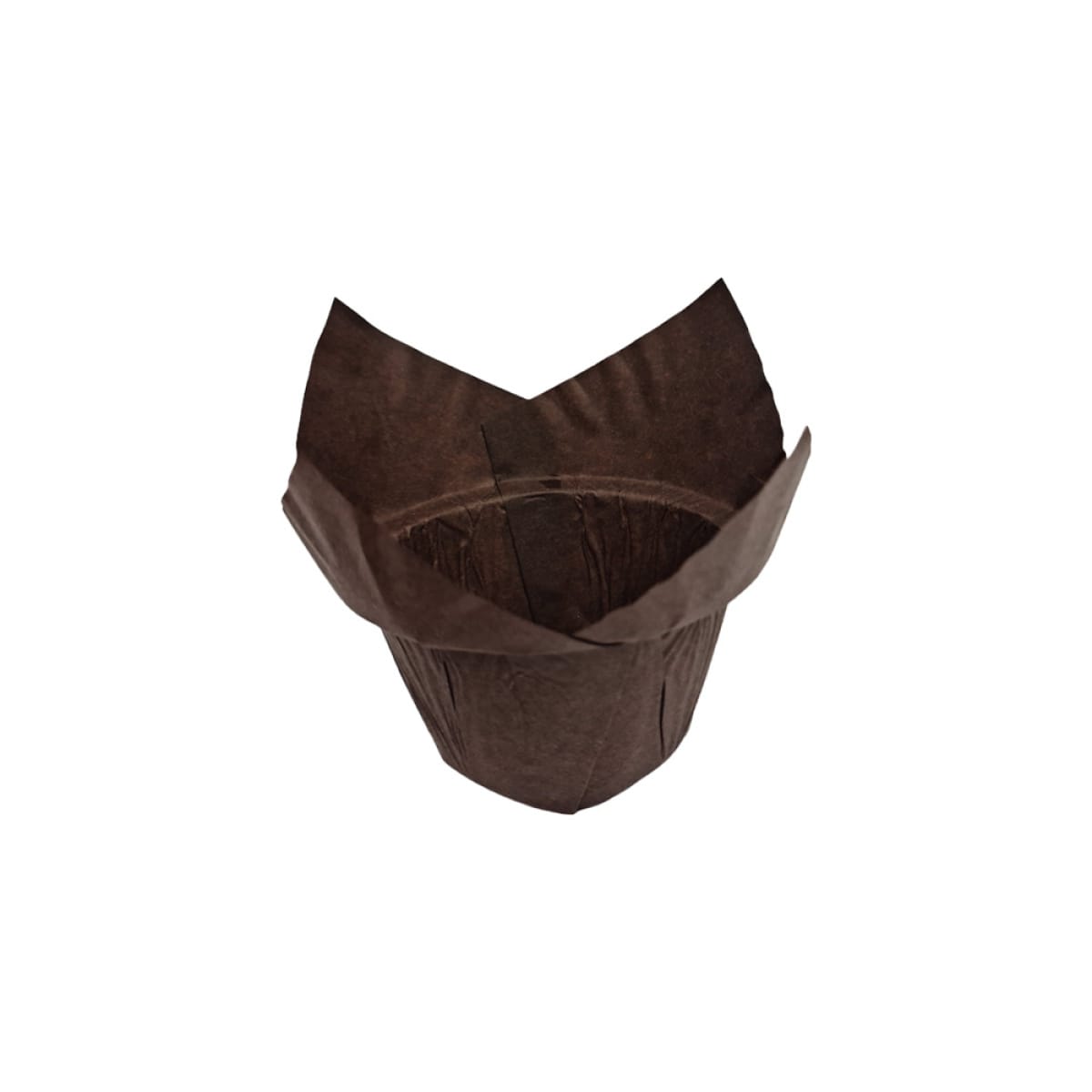 Chese tulip brown 50x160x160 150/set - imagine 1