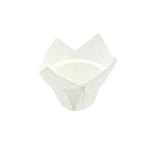 Chese tulip white 50x160x160 150 set - Chese Tulip Alb 150 BUC