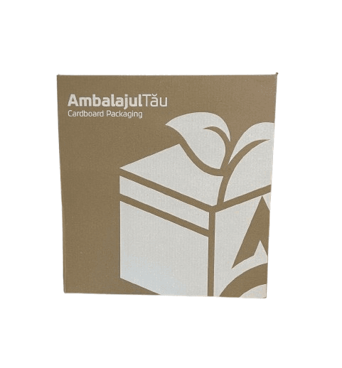 WhatsApp_Image_2025-08-25_at_16.15.21-removebg-preview Cutie transport medie Easybox 445x190x470mm natur 25 buc/set - imagine 1