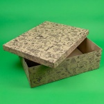 CUTII TORT GENERIC CT9 25 BUC/SET NATUR 610x510x160 - imagine 2