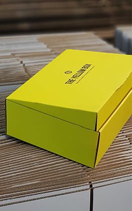 portofoliu-ambalaj-yellow-box-2